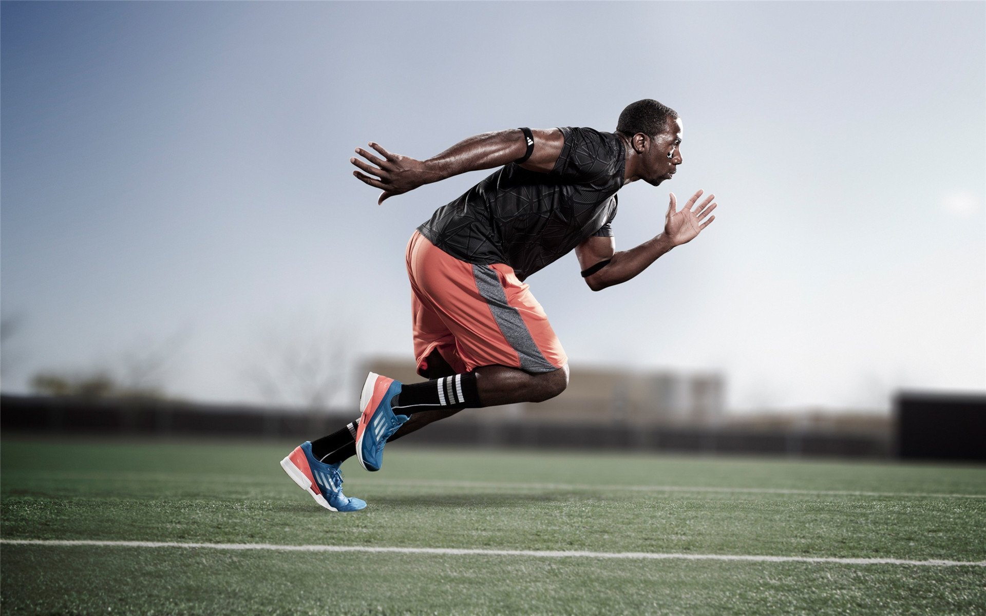 班凯罗,撕裂南海岸的纽约新王